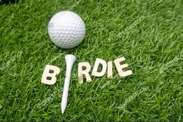 Birdie Package